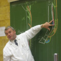 Prof. Dr. Sótonyi Péter